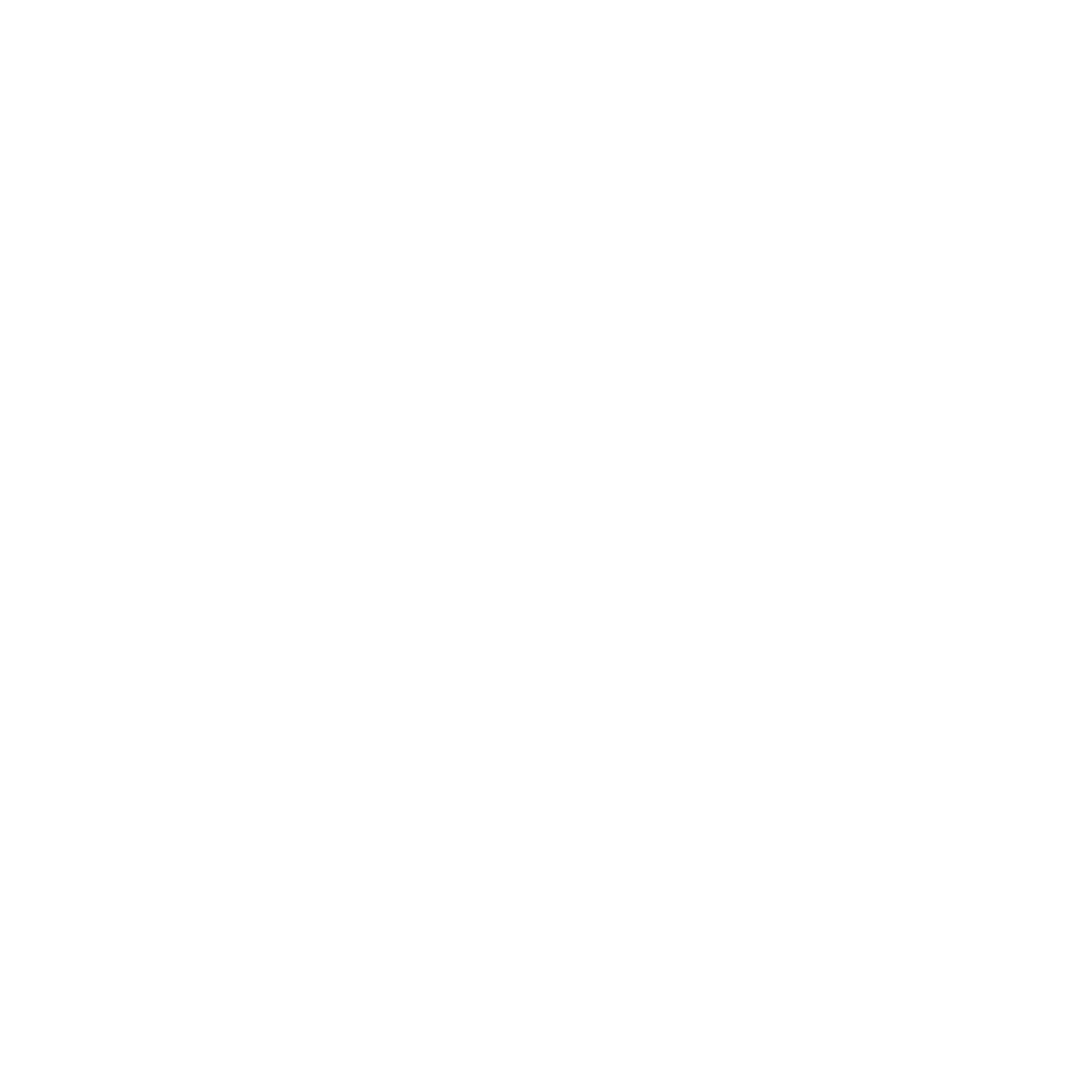 International Year of the Bats